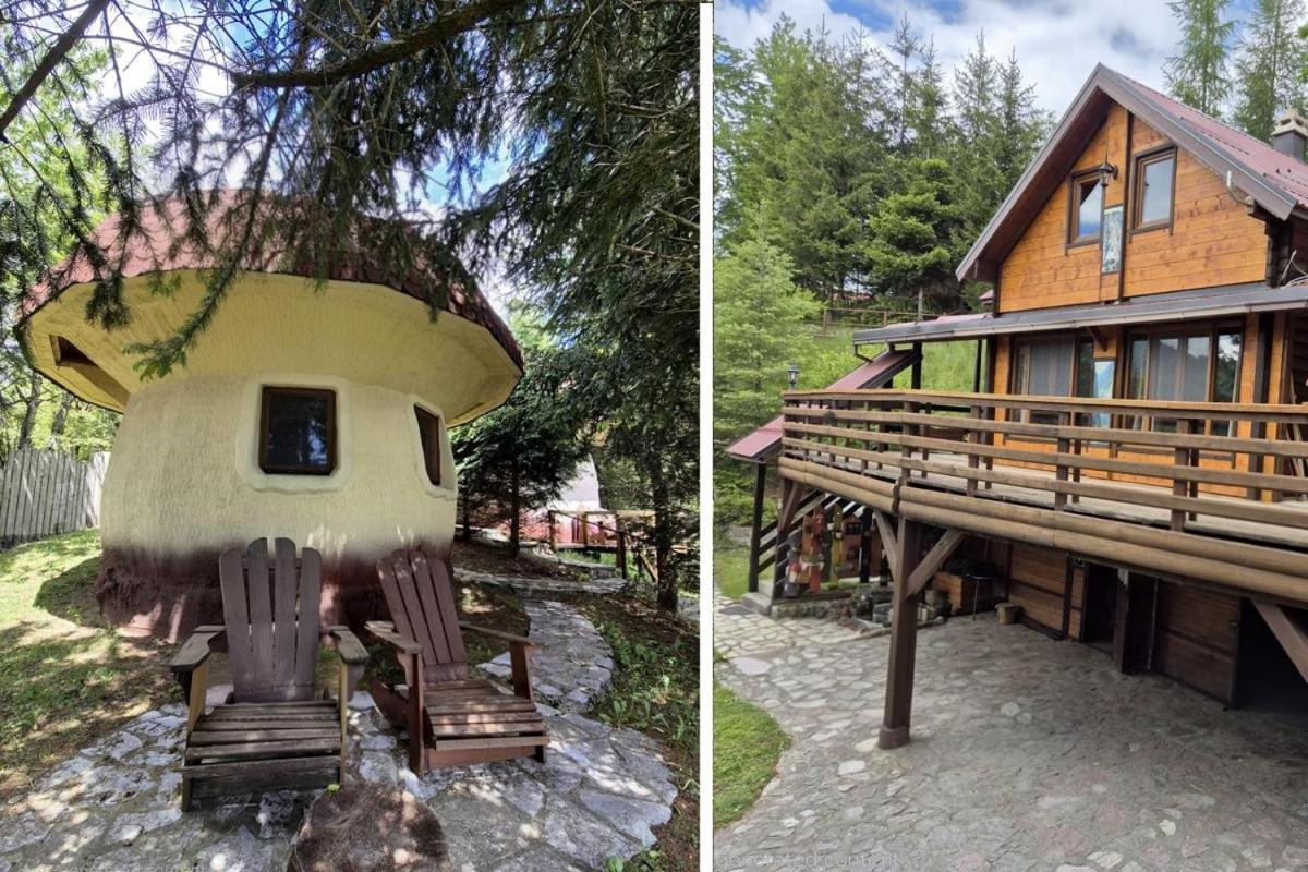 Art Apartments Minic Колашин Экстерьер фото