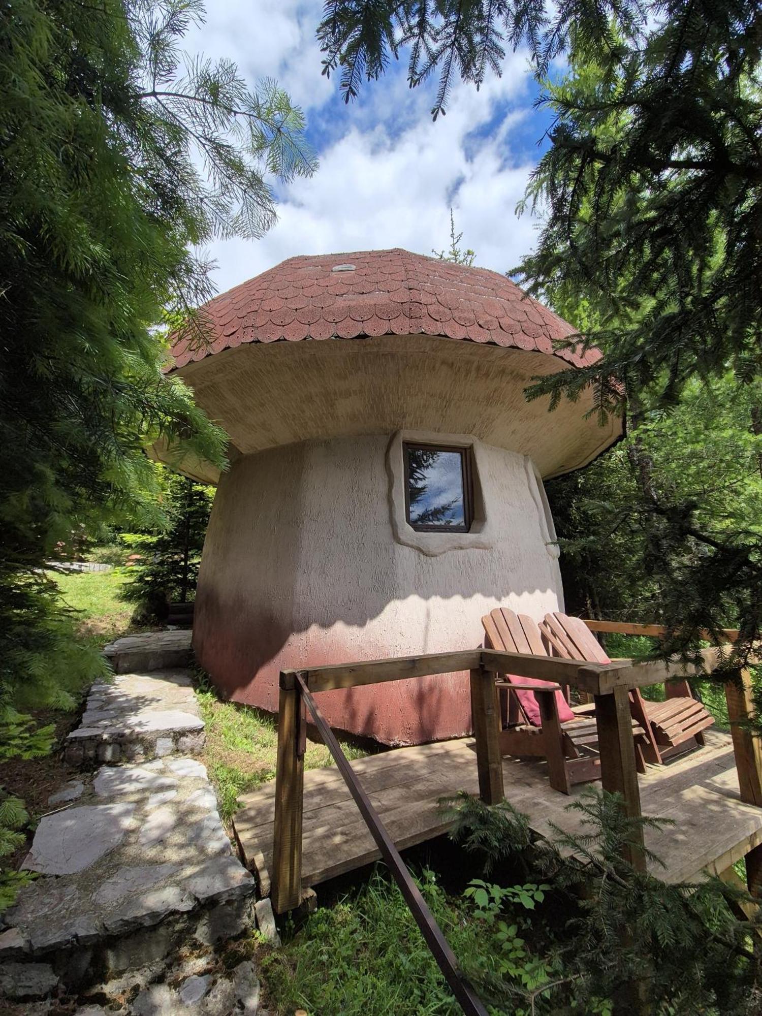 Art Apartments Minic Колашин Экстерьер фото